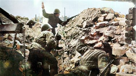 alluc stalingrad